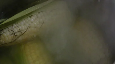 Boiling corn Stock-Footage 5380821