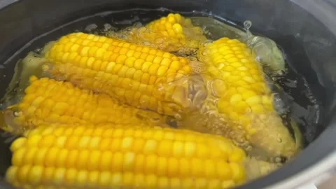 Boiling corn Stock Footage 285042811
