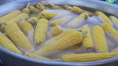 Boiling corn in hot water and metal pot Stock Footage 140867226