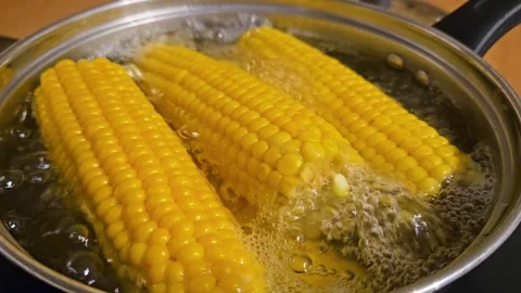 Boiling corn in pot with bubbling water during cooking process. Simmering sweet Stock Footage 303009787