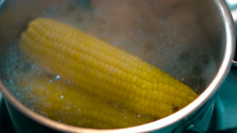 Boiling corn at the pot Stock-Footage 134470333