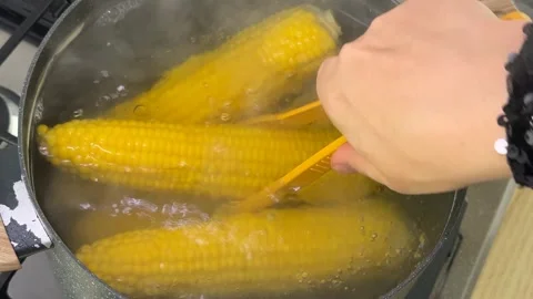 Boiling Corn on Stove Stock Footage 319021329