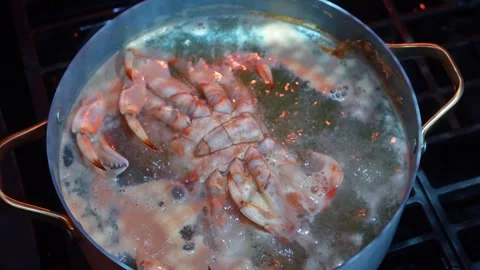 Boiling crab in a pot on a stove in a kitchen setting. A crab is boiling in a Stock Footage 343797830