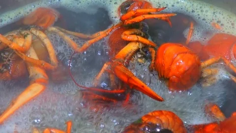 Boiling crayfish at saucepan, closeup Stock Footage 120001567
