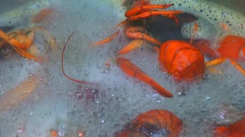 Boiling crayfish at saucepan, closeup Stock Footage 120001658