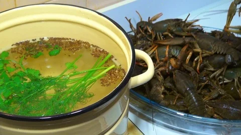 Boiling crayfish at saucepan, closeup Stock Footage 120002382