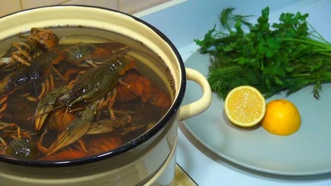 Boiling crayfish at saucepan, closeup Stock Footage 120002690