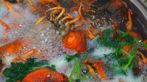 Boiling crayfish at saucepan, closeup Stock Footage 120002888