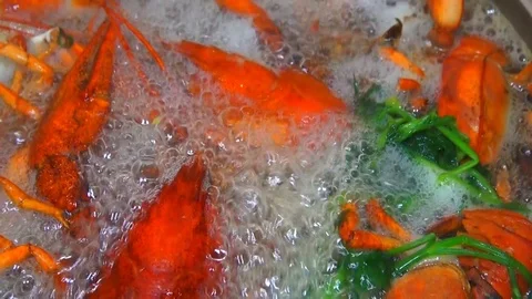 Boiling crayfish at saucepan, closeup Stock Footage 120002950