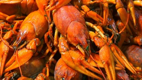 Boiling crayfish at saucepan, closeup Stock Footage 120003007