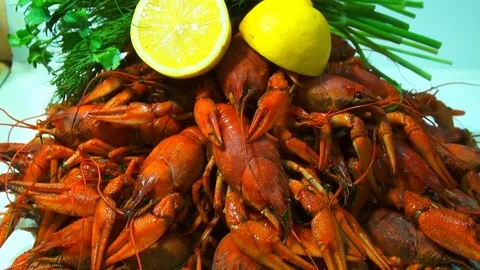 Boiling crayfish at saucepan, closeup Stock Footage 120003121