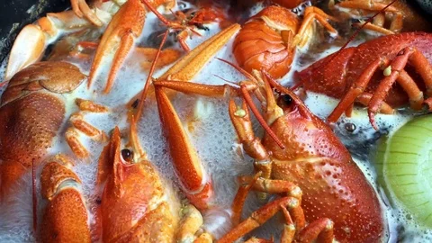 Boiling crayfish at saucepan Stock Footage 76149668