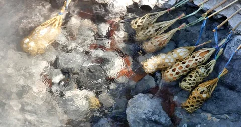 Boiling egg in hot spring water pond. Stock Footage 122658377