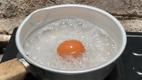 Boiling Egg in a Pot on Stove Stock Footage 309974243