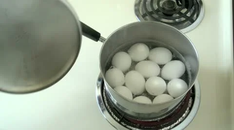 Boiling Eggs HD Stock Footage 10830678