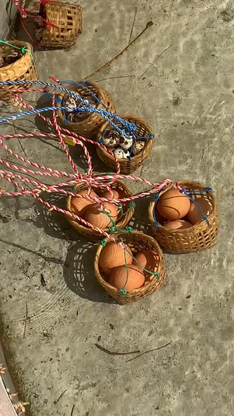 Boiling eggs in a natural hot pool in Chiang Rai Stock Footage 344768735