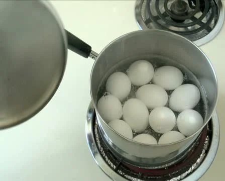 Boiling Eggs PAL Stock Footage 10830677