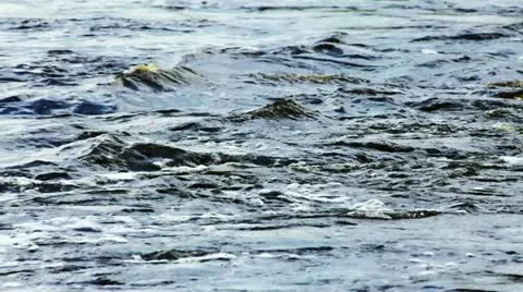 Boiling fast flow of river water during flood 库存影片 11287949