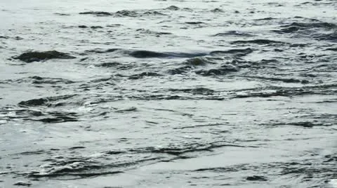 Boiling fast flow of river water during flood 库存影片 11287955