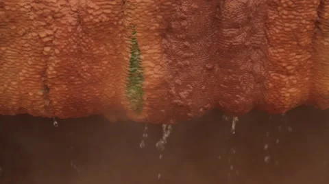 Boiling fountain macro Vidéo 48340359