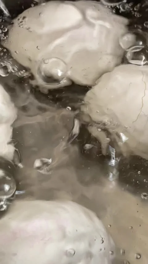 Boiling Fresh Eggs in Pot of Water on Stove Stock Footage 340214481