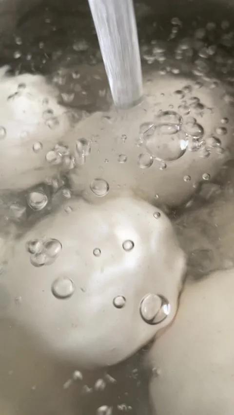 Boiling Fresh Eggs in Pot of Water on Stove Stock Footage 340214773