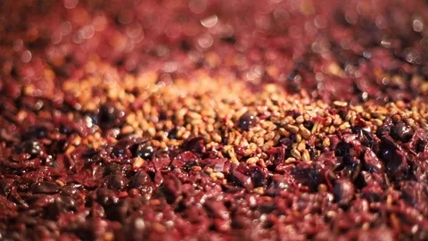 Boiling grapes for wine Stock-Footage 120018617