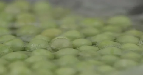 Boiling green peas closeup selective focus Stock Footage 135817419