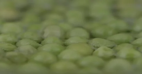 Boiling green peas closeup selective focus Stock Footage 137179634