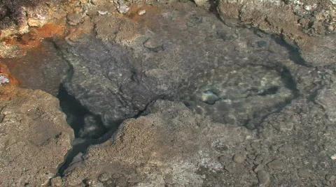 Boiling Hot Spring 스톡 동영상 305352