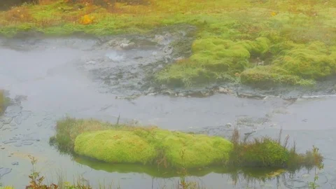 Boiling Hotspring Stock Footage 82105688