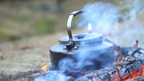 Boiling kettle on the fire in the woods Stock Footage 97869851