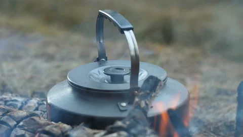 Boiling kettle on the fire in the woods Stock Footage 97870689