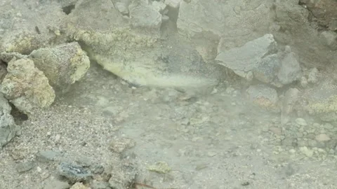 Boiling mud bubbles and hot steam in geyser Stock Footage 319907942