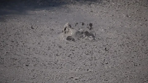 Boiling mud geothermal hot earth volcano field new zealand zoom Stock Footage 100465098