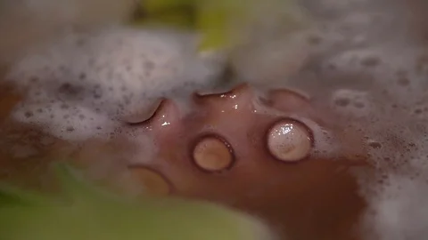 Boiling Octopus Stock Footage 122673401
