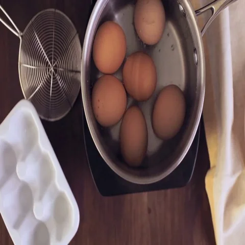 Boiling organic eggs for deviled eggs recipe. Video stock 69729866