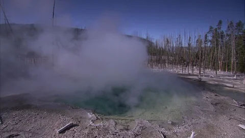 Boiling Pool of Water Surrounded By Dead Trees Stock Footage 86756021