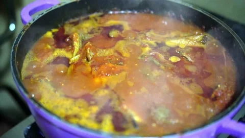 Boiling Pot of Stew Stock Footage 219196459