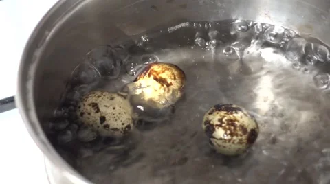 Boiling quail eggs Stock Footage 65071768