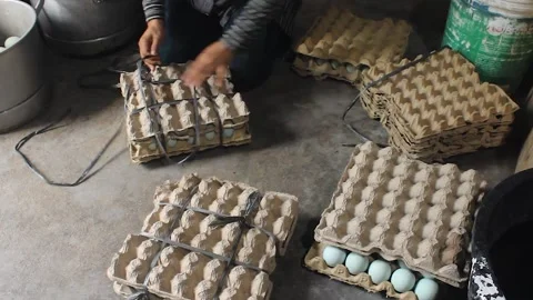 Boiling salted eggs Stock Footage 280384811