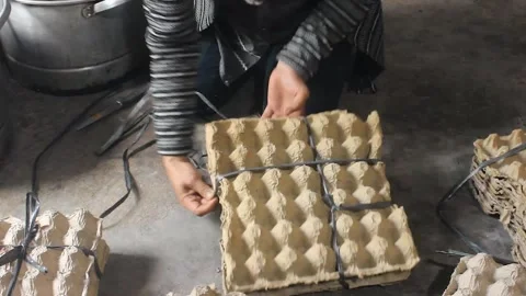 Boiling salted eggs Stock Footage 280384825