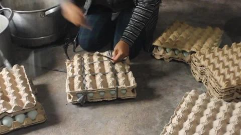 Boiling salted eggs Stock Footage 280384922