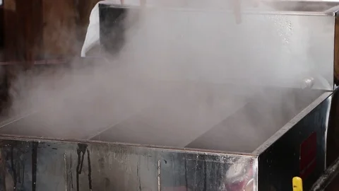 Boiling Sap in Steaming Evaporator Pan Stock Footage 105353775