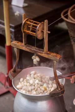 Boiling silkworm cocoon in pot Stock Photos