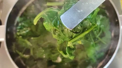 Boiling spinach leaves and checking closely Video stock 152650939
