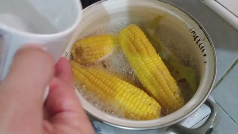 Boiling sweet corn Stock Footage 134345000