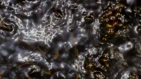 Boiling syrup on stove, with dancing light Stock Footage 167048824