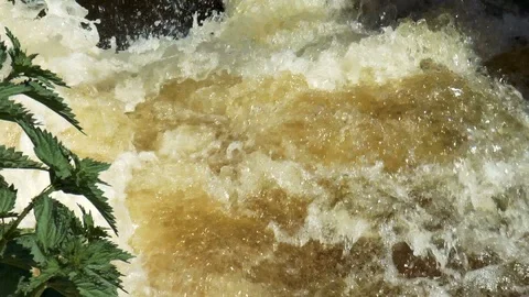 Boiling waste water with foam Stock Footage 89956800