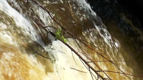 Boiling waste water with foam Stock Footage 89956949